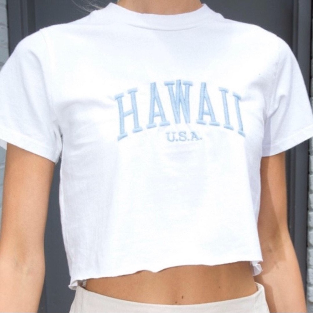 BRANDY MELVILLE HAWAII CROP!!